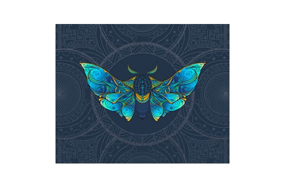 Colorful moth  panel eko skóra
