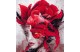 WOMAN IN RED 46,5X50- panel eko skóra