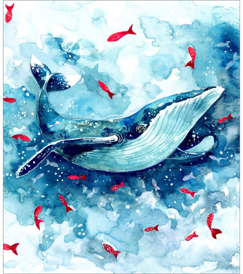 Whale 01
