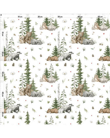 Baby forest animals 1