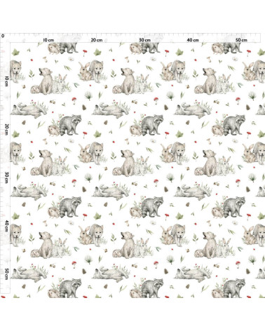 Baby forest animals 5