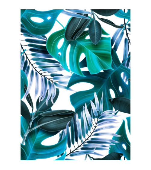 MONSTERA NA BIAŁYM DUŻA