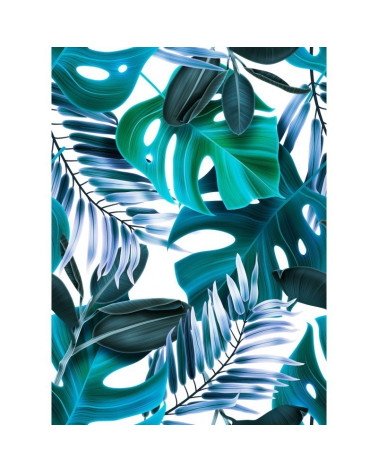 MONSTERA NA BIAŁYM DUŻA