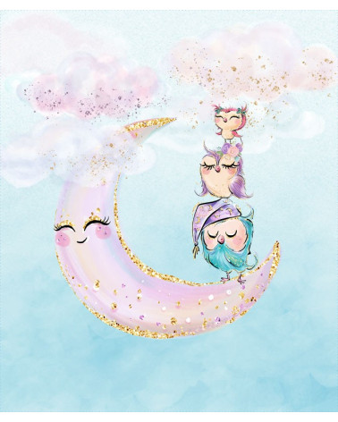 Eulen 1  (42 x 50 cm)