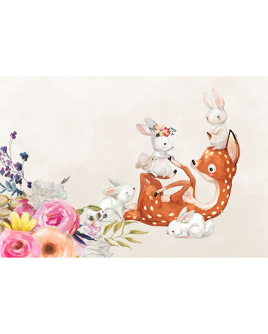 Captain and pirates 1