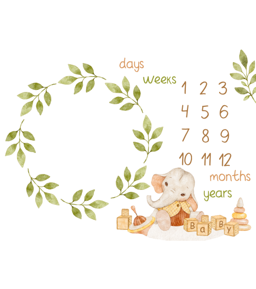 Milestone-Panel-Decke Baby elephants 1