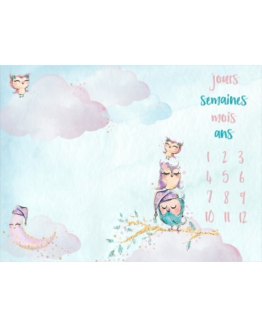 Milestone blanket sowy