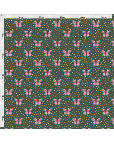 colorful butterfly 1