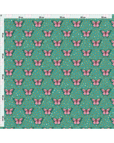 colorful butterfly 2