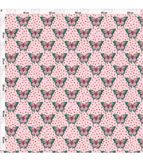 colorful butterfly 3