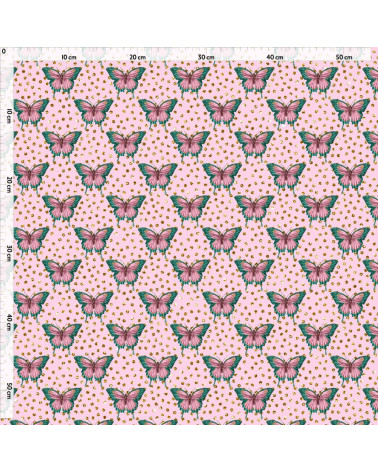 colorful butterfly 3