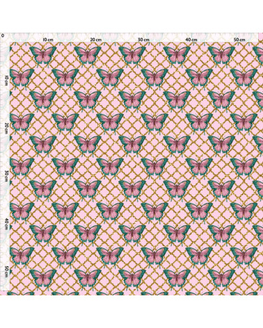 colorful butterfly 5