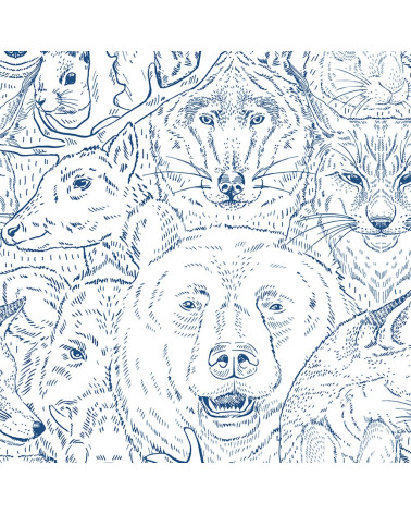 drawing animals