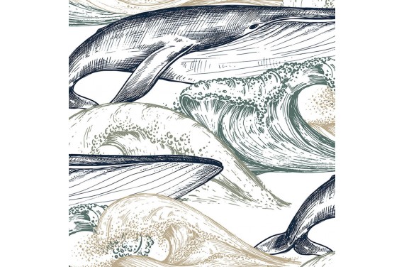 drawing whale