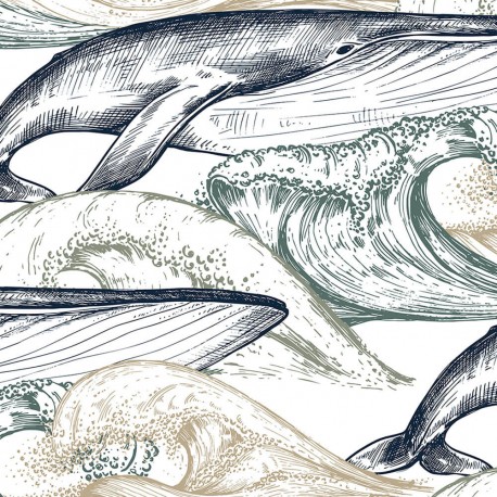 drawing whale
