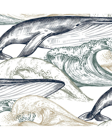 drawing whale