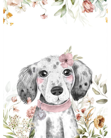 Animals Babies Puppy Girl