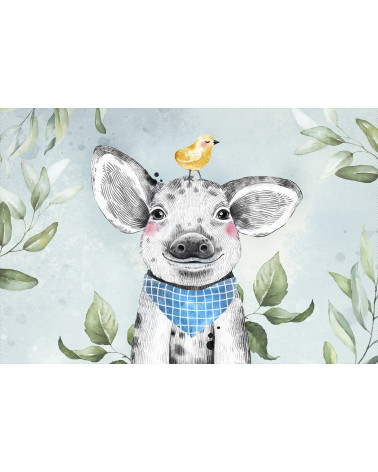 Animals Babies Piggy