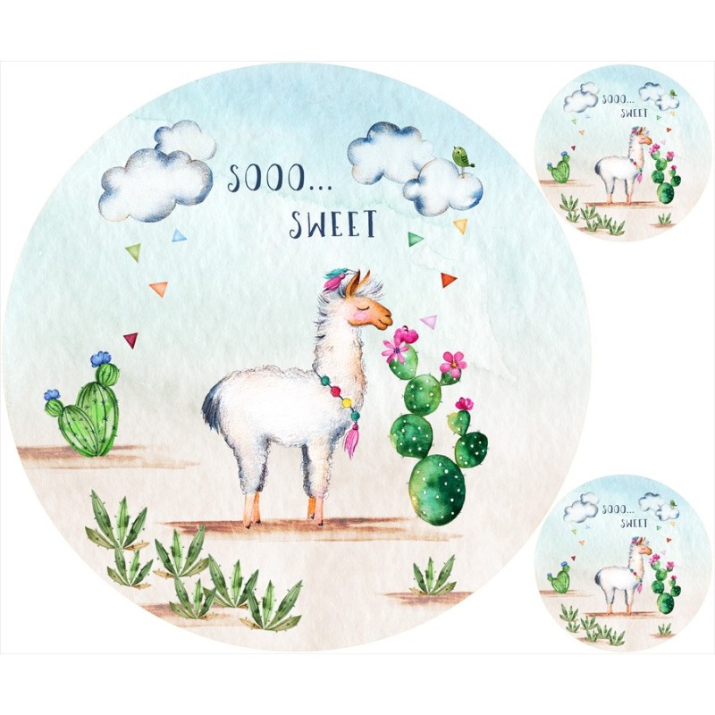 Kapitän und Piraten Matte + Kissen GRATIS!