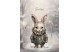 Winter rabbit 4