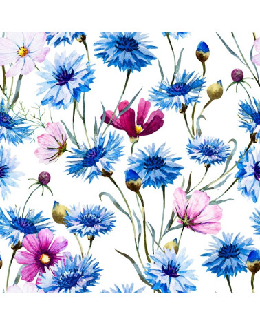 Cornflowers and poppies flowers