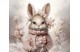 winter rabbit 6 matte+ FREE pillow
