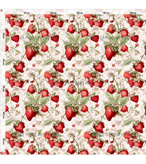 Blooming strawberries 01