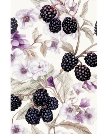Blackberries 01