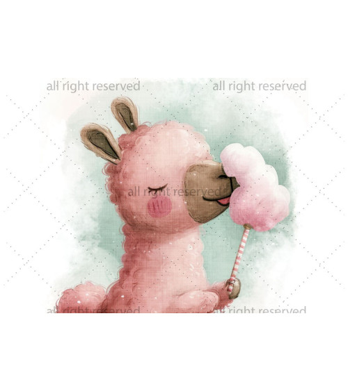 Lama & cotton candy