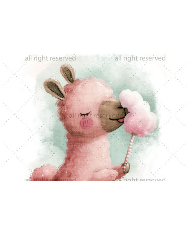 Lama & cotton candy