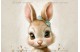 Meadow rabbit 01