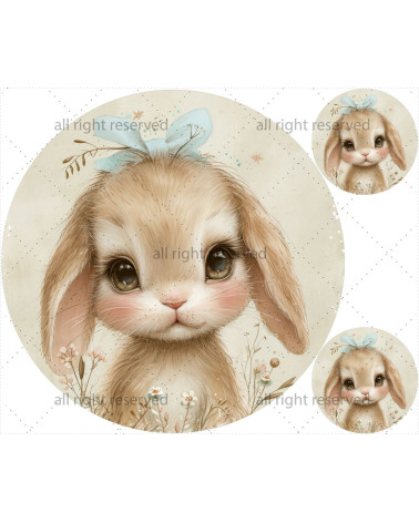 Vintage rabbit 02 Matt+ FREE pillow