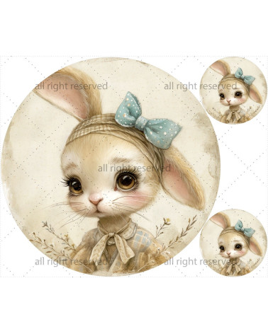 Vintage rabbit 01 matte+ FREE pillow