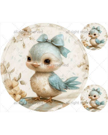 Vintage sparrow 01 matte+ FREE pillow