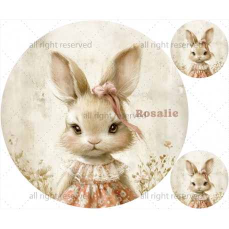 Vintage rabbit 03 mata + poduszki