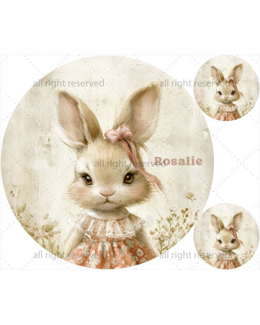 Vintage rabbit 03 matte+ FREE pillow