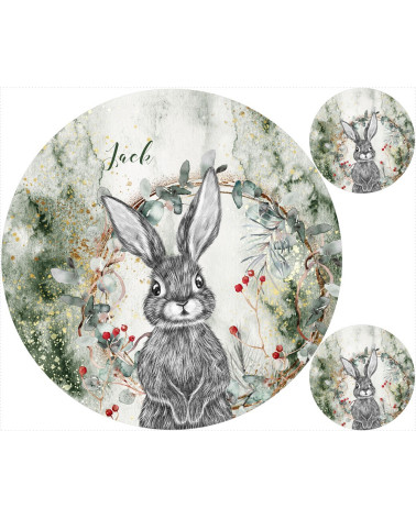 Forest Animal 1 Mat + FREE pillow