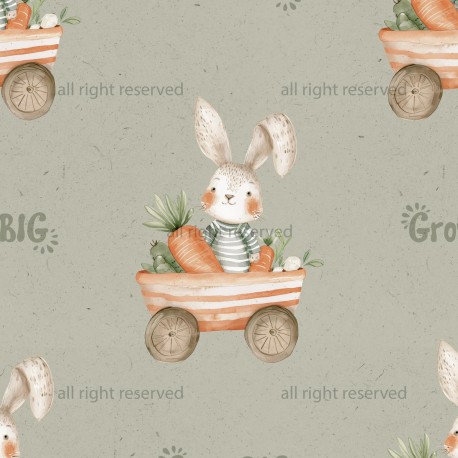 Rabbit & carrot 08
