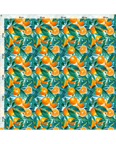 Sicilian oranges 01