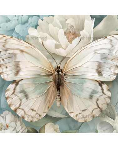 Butterfl with flowers 01