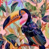 Colorful toucan 02