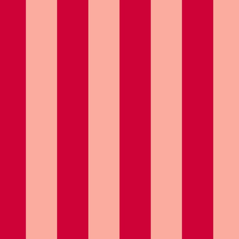 Stripes 04