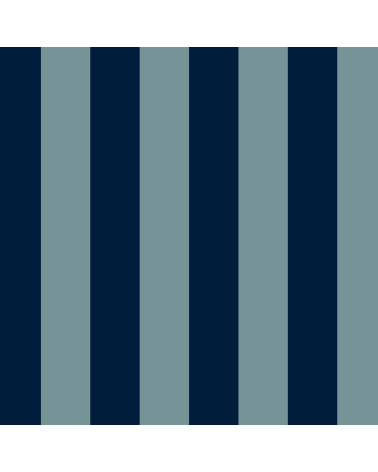 Stripes 12