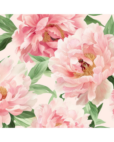 Peonies 05