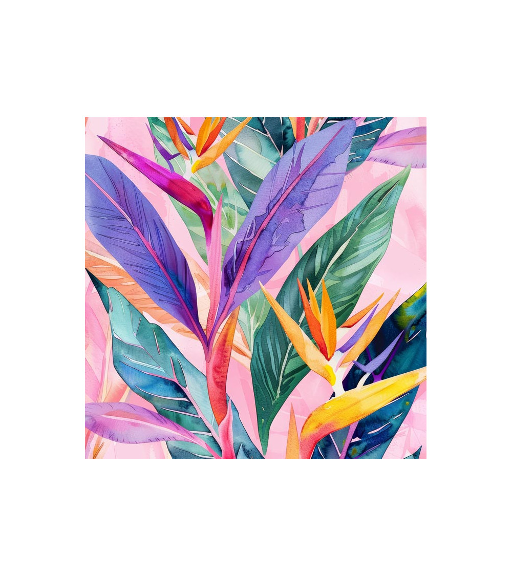 Exotic strelitzia 01