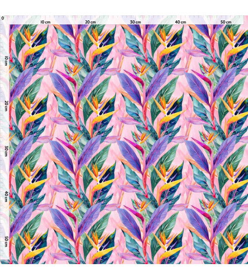 Exotic strelitzia 01