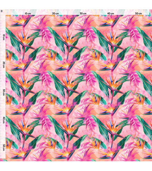 Exotic strelitzia 02