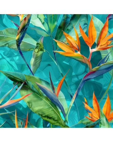 Exotic strelitzia 03