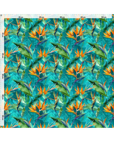 Exotic strelitzia 03