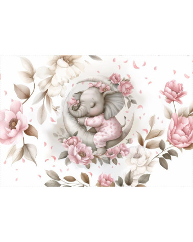 Sleeping elephant 01